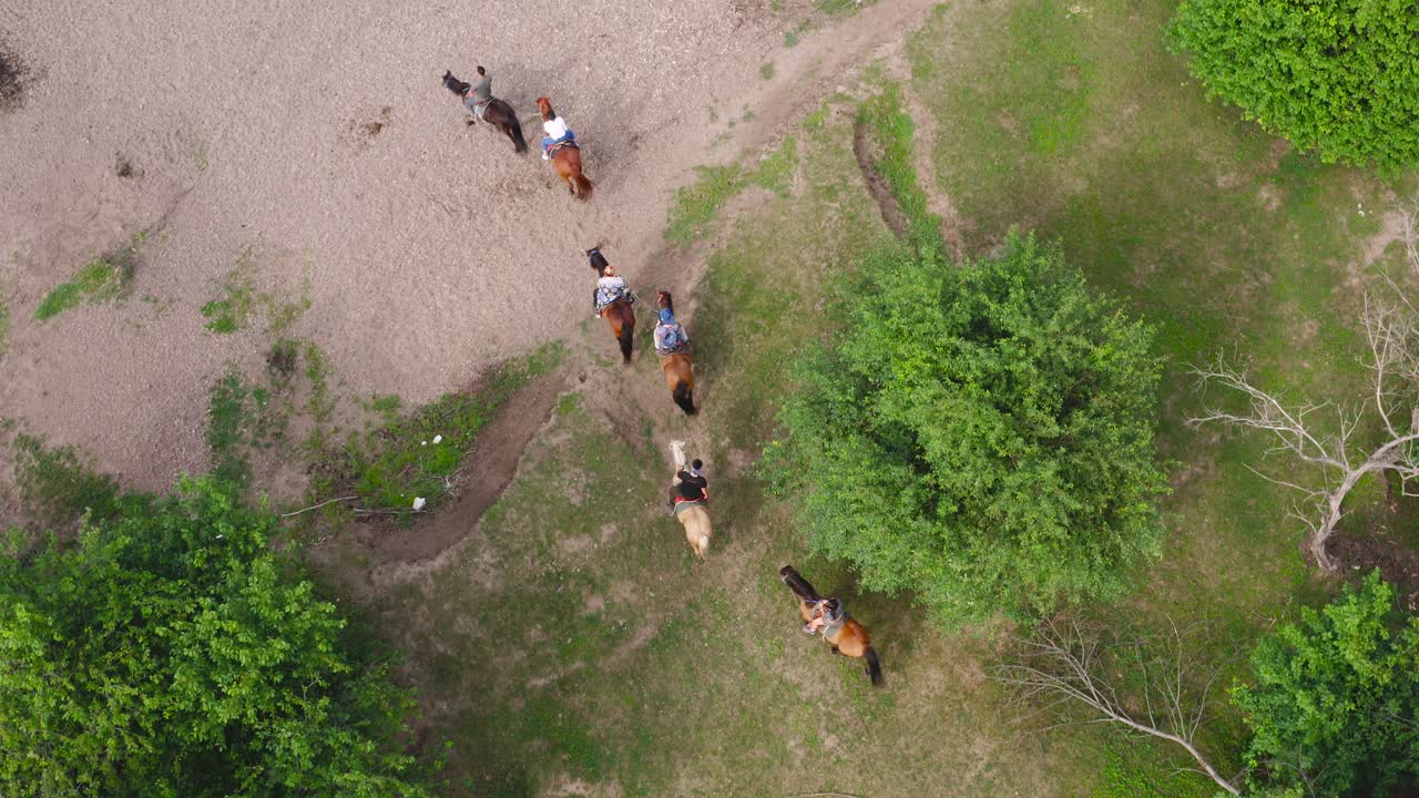 personas en safari montando caballos a través de un bosque