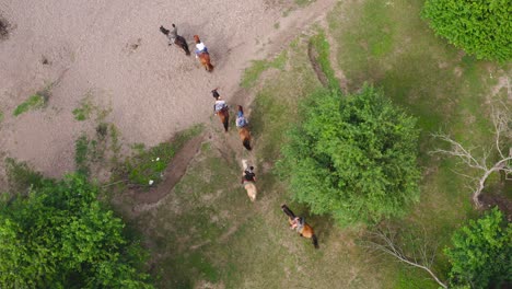 people on safari riding horses through a forest