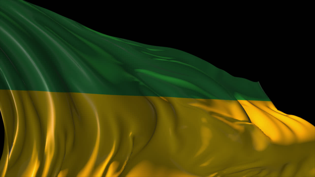 agitando la bandera de camerún