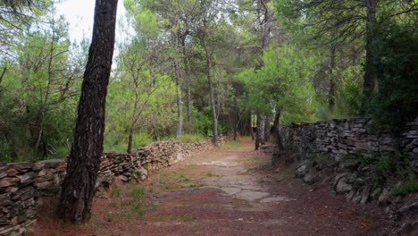 Walking-through-a-dirt-trail-surrounded-by-small-stone-wall-and-green-forest-with-painted-trees