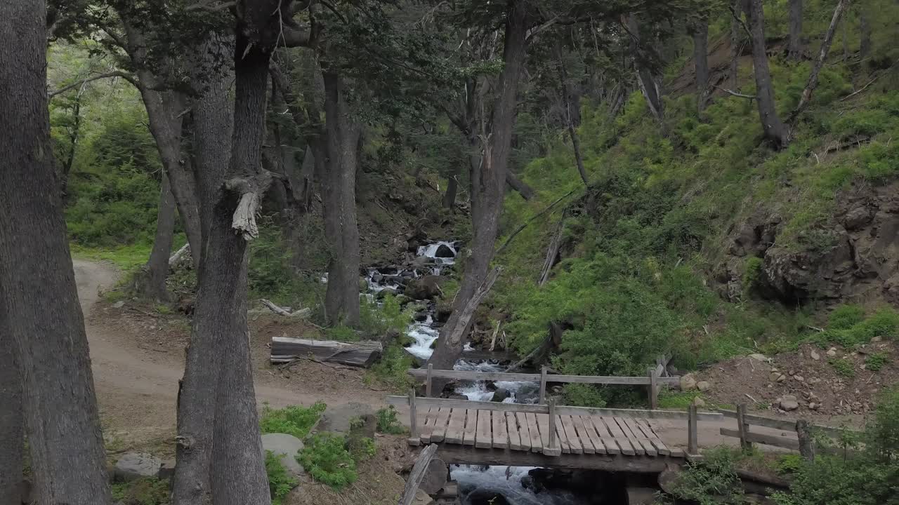 puente de conexión al bosque andino patagónico argentina