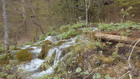 waterfalls flowing over the moss covered cliff edges