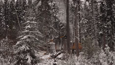 La-Máquina-De-Sierra-De-Manipulador-De-Madera-Industrial-De-Toma-De-Seguimiento-Estrecha-Derriba-árboles-Cubiertos-De-Nieve-En-Una-Tormenta-De-Nieve,-Dramática,-Parte-De-Una-Gran-Serie