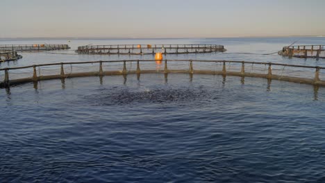 view of net pens for agricultural fish farming in the sea