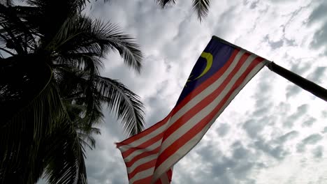 Malaysia-Flagge-In-Zeitlupe-Bewegt-Sich-An-Der-Kokospalme