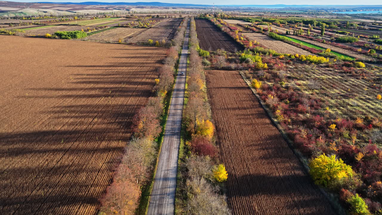 Aerial drone view of a car driving along a straight country road framed by vibrant orange autumn trees in Moldova
