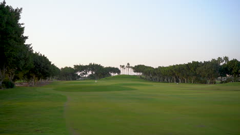 A-beautiful-golf-course-with-green-grass,-trees,-lake-and-feather-grass-on-a-sunny-day