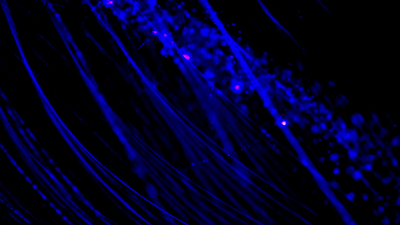 fondo de ondas abstractas.