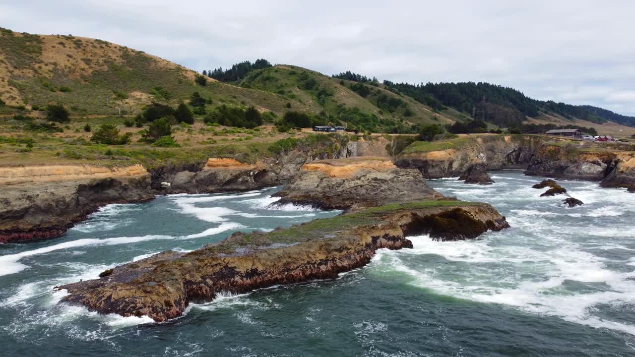 4k 30fps 항공 영상 오레곤 코스트 - 바다의 파도가 해안 암석에 충돌하고 갈매기가 pnw 숲과 서사시적인 농가 배경으로 날아갈 때 해안 이끼 바위에 정적 샷