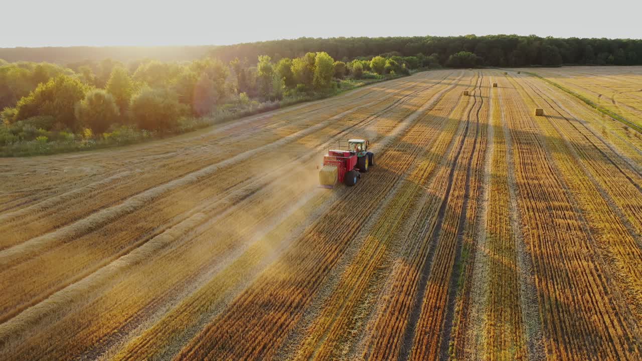 Red tractor on the yellow field in a sunny day. Harvesting dried grass in summer. Agricultural machine is baling hay into square bundles. Aerial view.