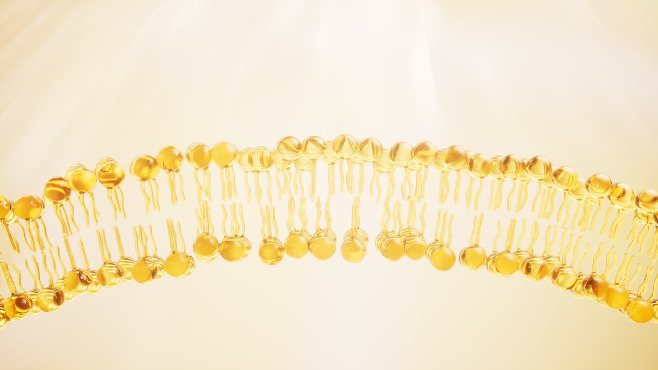 투명한 막 구조, 3d 렌더링