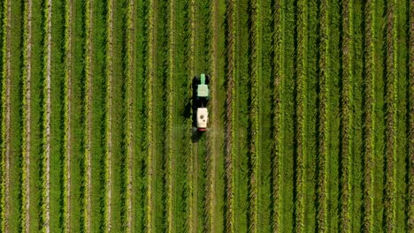 directamente encima de la maquinaria del tractor rociando fertilizante en el viñedo en italia