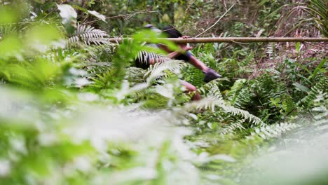 adventurous teenager running with backpack in tropical forest