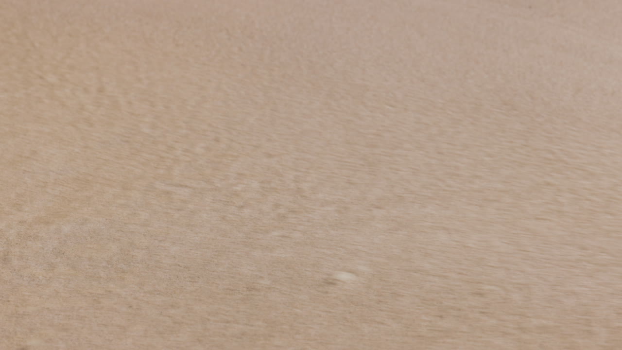 자연, 파도, 비어 있는 해변의 모래