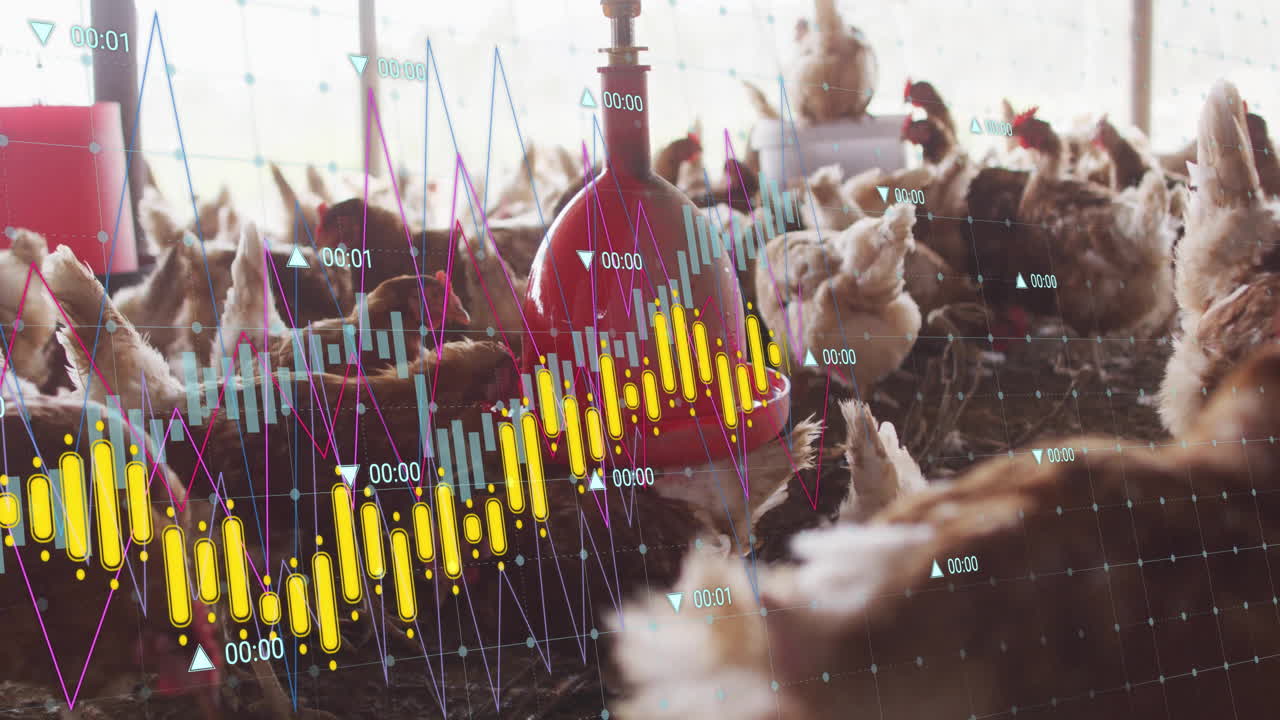 Poultry barn scene animating hens crowding around red nipples, displaying line graphs and waveforms