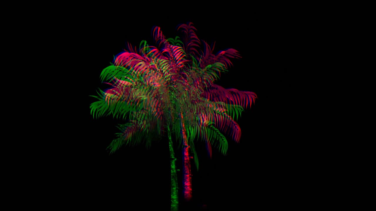 palmera de colores 4k