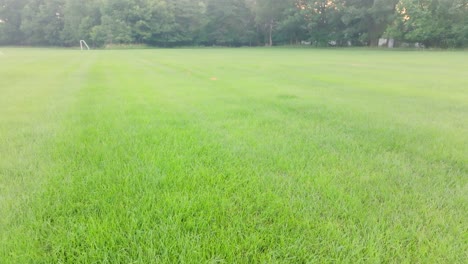 a lush soccer field in summer