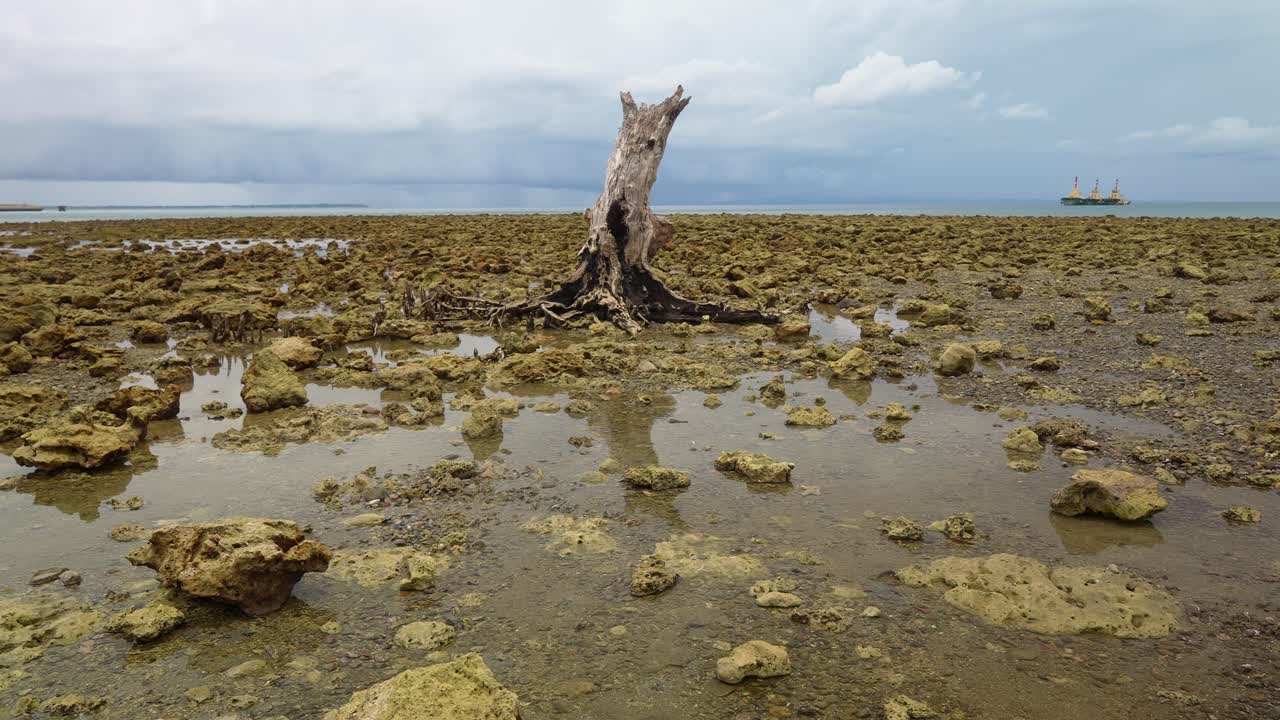 A steady shot of a barren rocky shoreline at low tide with a lone dead tree trunk standing upright, distant ship on calm sea and cloudy sky near Mauban Port, Quezon Province Philippines