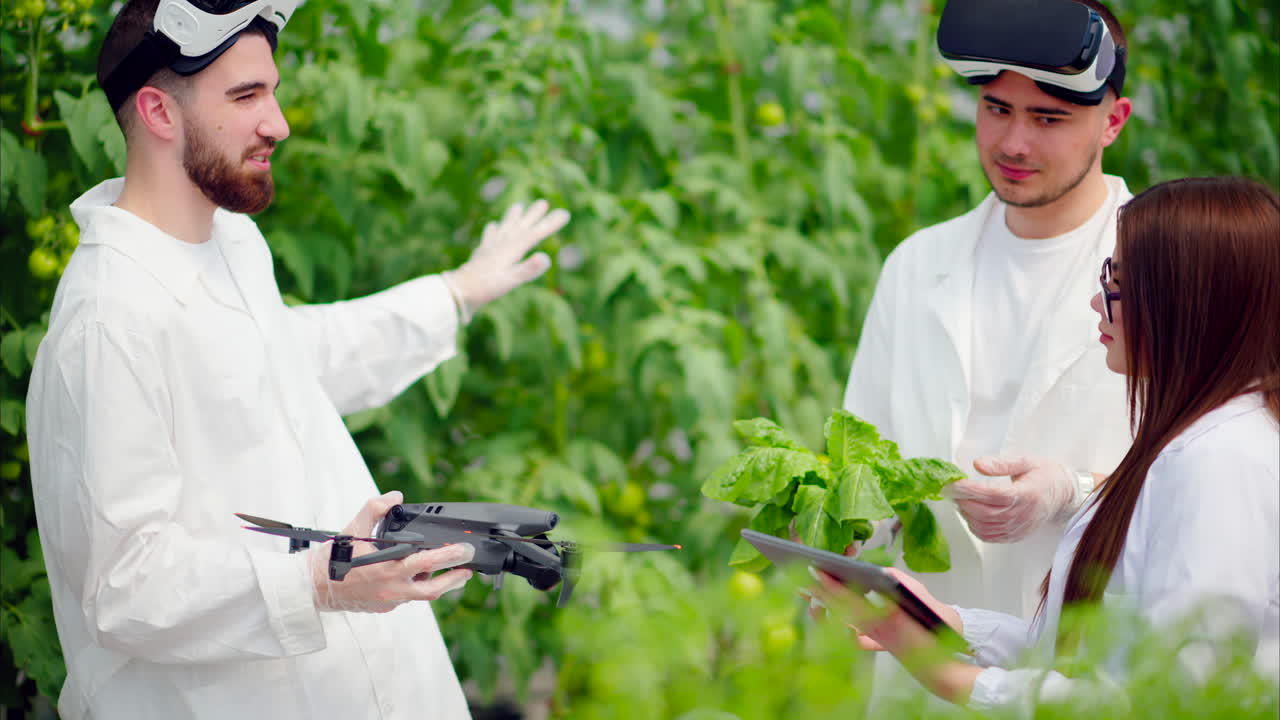 Three laboratory technicians in white coats wearing Virtual Reality headsets, holding a drone and a tablet, analysing lettuce grown with the Hydroponic method in a greenhouse