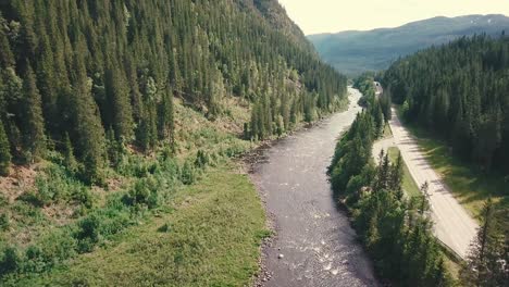 Erhebende-Drohne-Mit-Hohem-Winkel-Nach-Vorne-über-Einen-Fluss-Neben-Einer-Straße-In-Einem-Wald