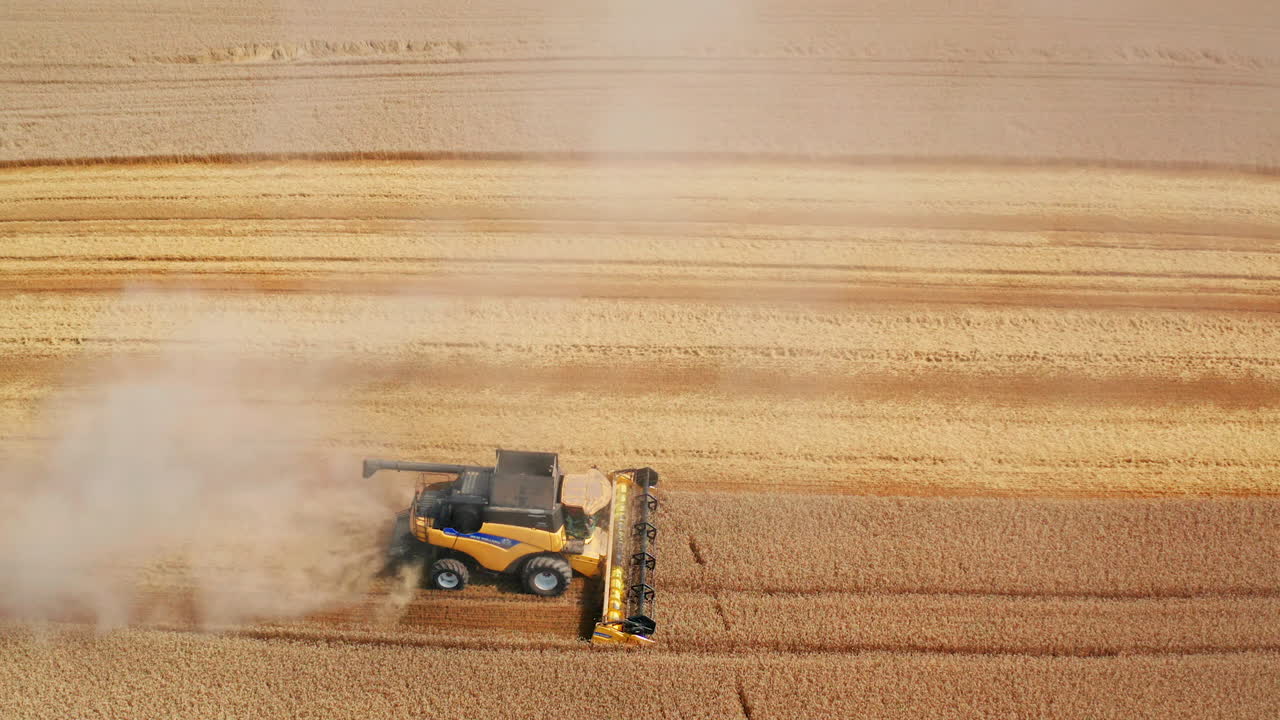 cosechadora combinada en el campo de trigo