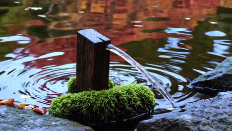 peaceful water feature in a japanese garden
