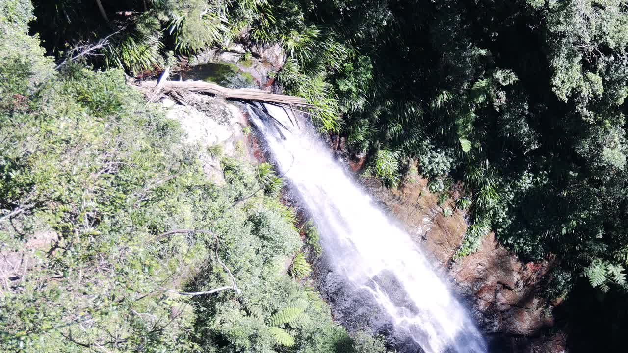 imágenes de drones capturando una cascada en un bosque exuberante