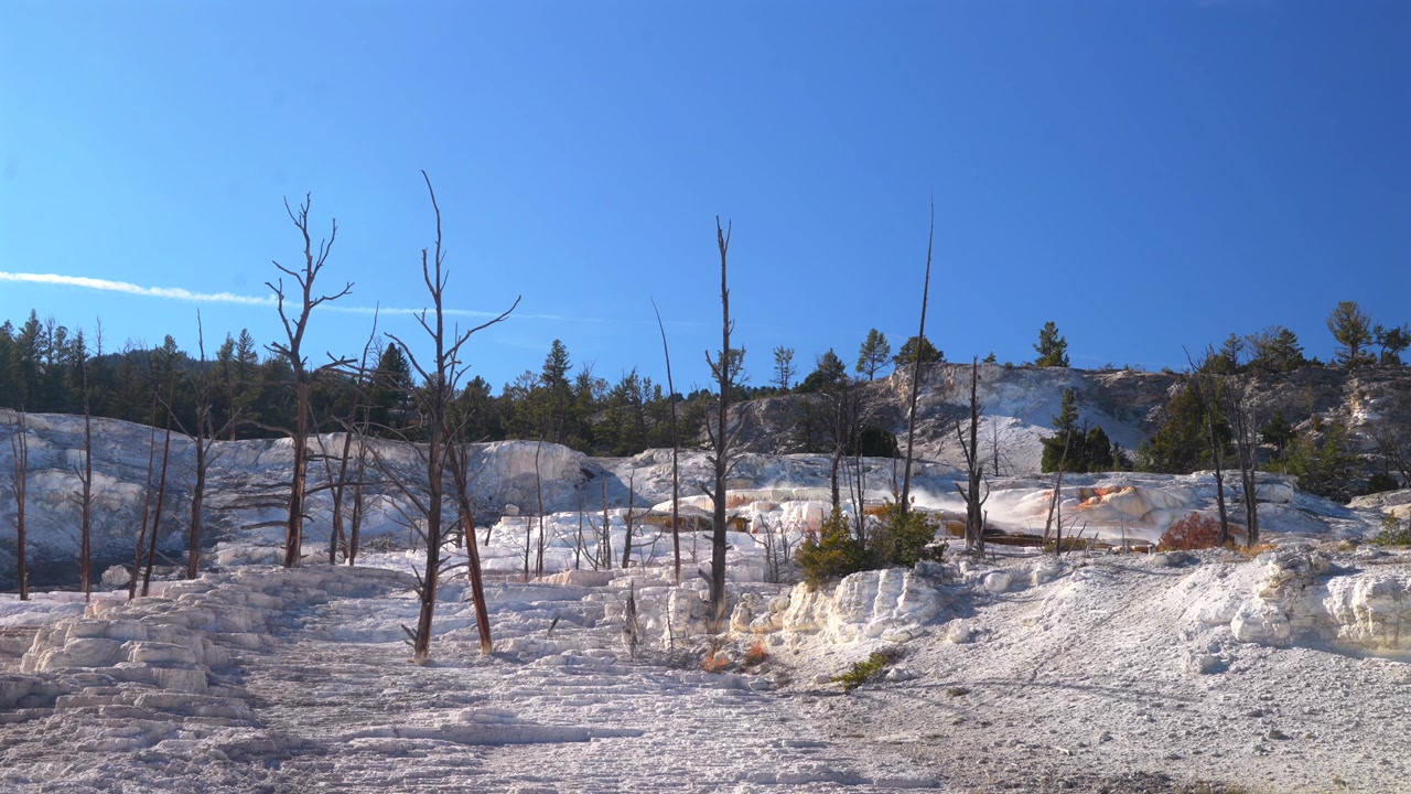 Mammoth Hot Springs Terrasser, kridtagtigt kalkstenslandskab, Yellowstone Nationalpark Wyoming. Efterårseftermiddag med solrig blå himmel. Madison Junction Roosevelt geotermiske varme kilder damp.