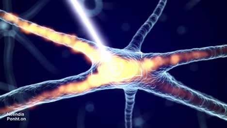 neural stimulation procedure