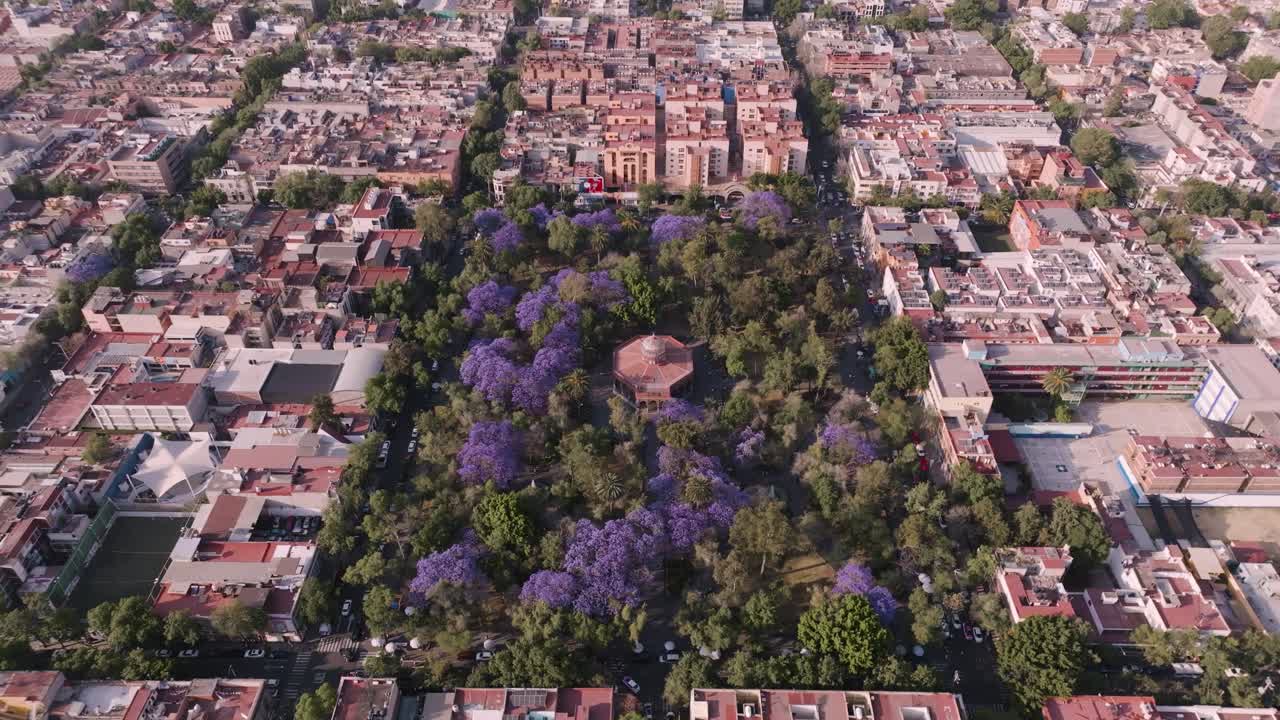 Slider Shot Of Magical Garden Park In Mexico City At Sunny Day