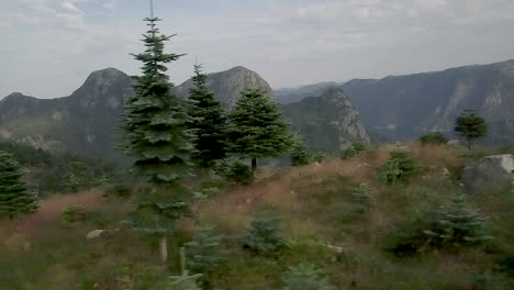 scenic mountains covered with pine trees revealing lake, wide parallax drone shot