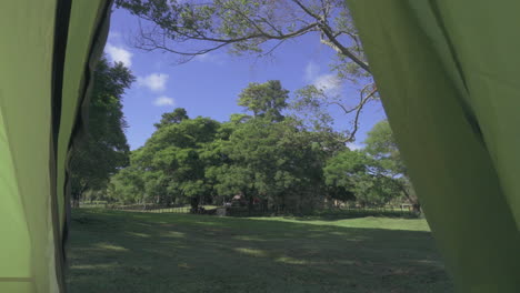 trees swaying in wind seen from inside camping tent, argentina