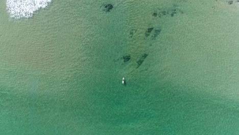 Over-head-view-of-surfer-in-crystal-clear-calm-waters-from-high-up-descending-slowly-as-swells-come-in