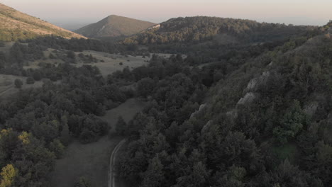 beautiful mountain landscape of the forest in a dirt road from a height in summer