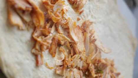 chicken gyro or doner kebab