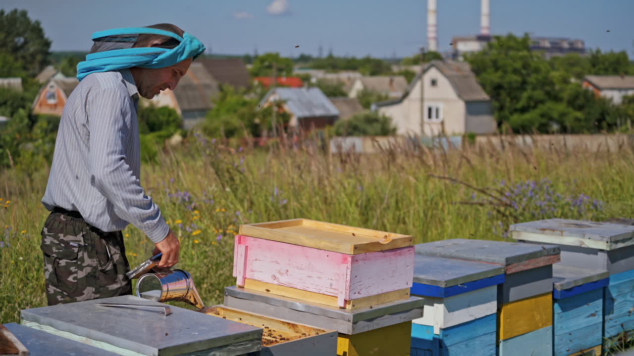 Beekeeper works in apiary. Beekeeper working with bees and beehives on the apiary