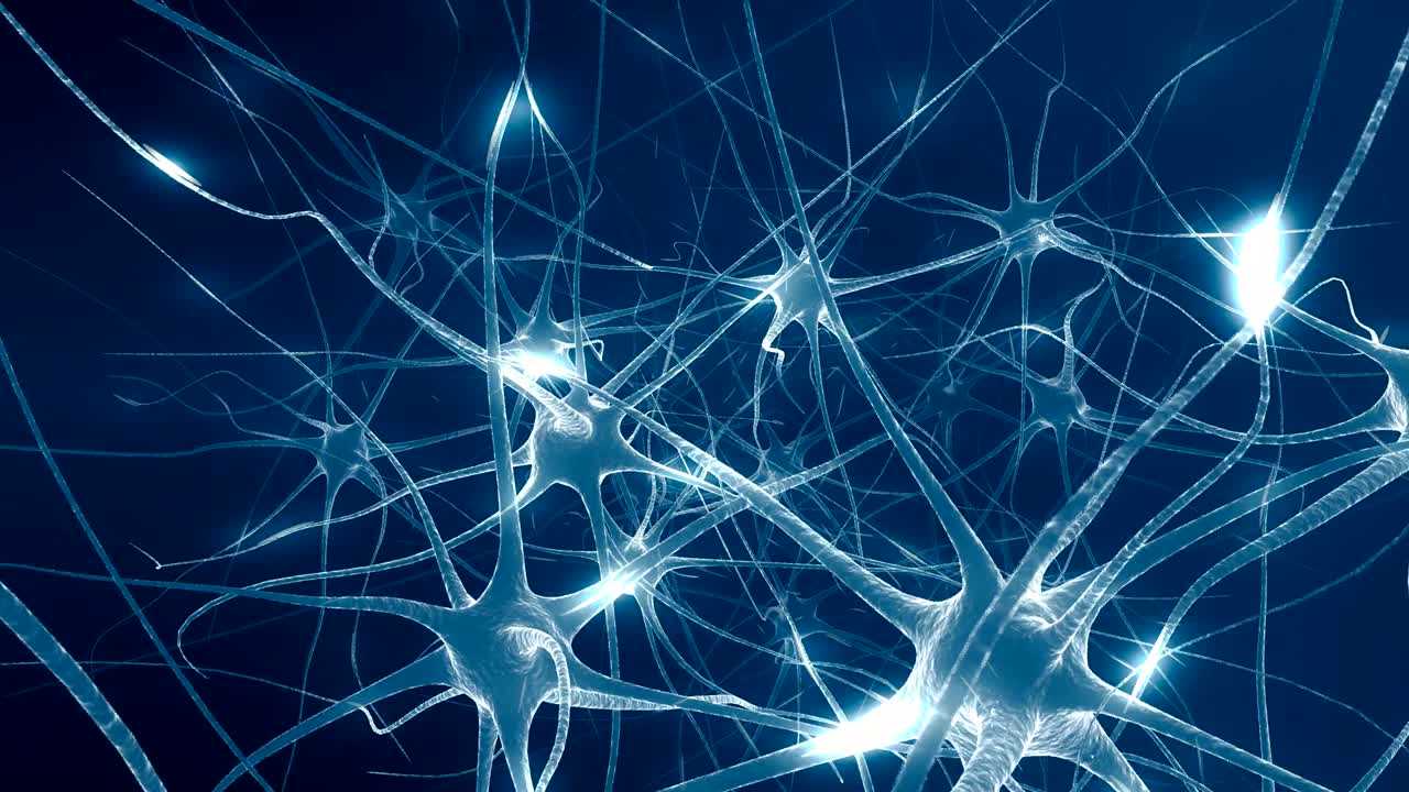 Neurons in brain. Loop. 3D animation of neural network.