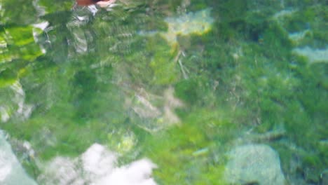 gentle ripples reflecting lush greenery in clear canal water in krabi