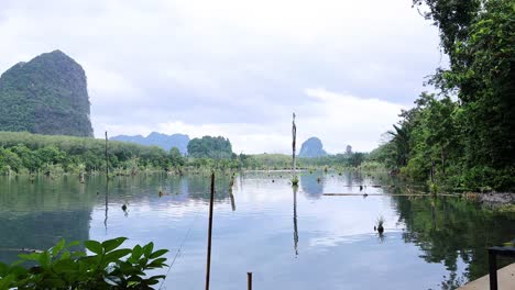 serene lakeside scenery with mountains and lush vegetation