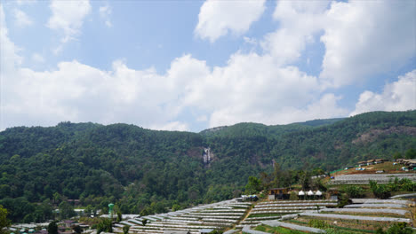 vivero de lapso de tiempo en la colina en tailandia