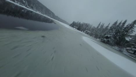 winter wonderland: frozen lake and snow covered forest