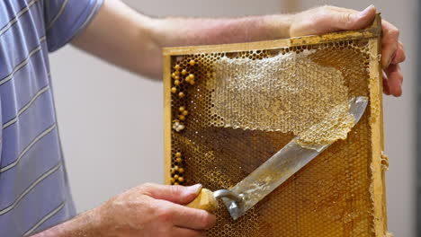 Electric knife cutting off the tops of cells. Fresh honey dripping from uncovered honeycombs. Close up.