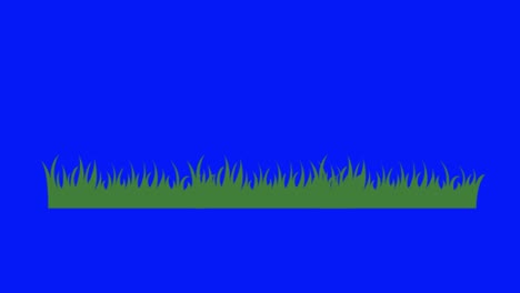 animation of a grass icon on a blue screen