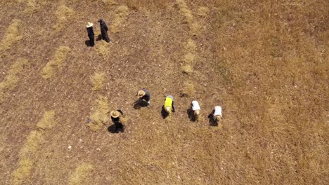 Menschen,-Die-In-Marokko-Auf-Einem-Heufeld-Arbeiten