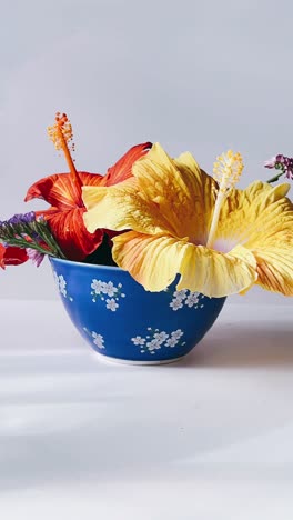 hermoso arreglo de hibisco en un cuenco decorativo
