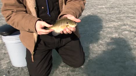 a man is on his knees on the ice, holding a fish in his hands - close up