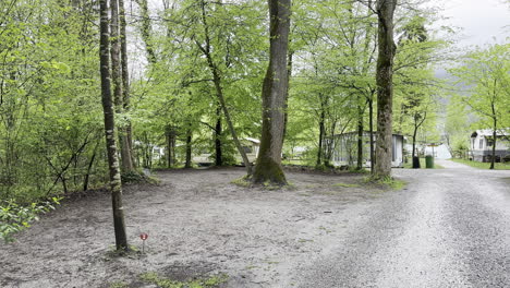 beautiful hiking trail near walensee lake full of lush green trees