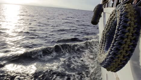 travel in boat in sunset in red sea