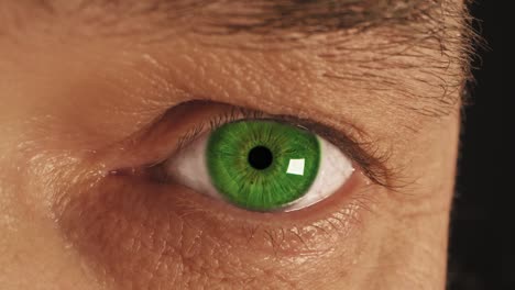 extremely close-up. the man's eye is green.