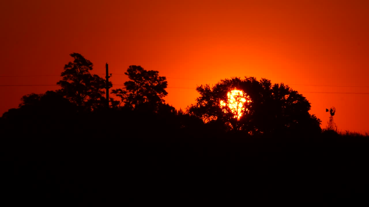 Scenic View Of Fiery Orange Sunset Behind The Grove  At Firmat Santa Fe, Argentina. - wide shot